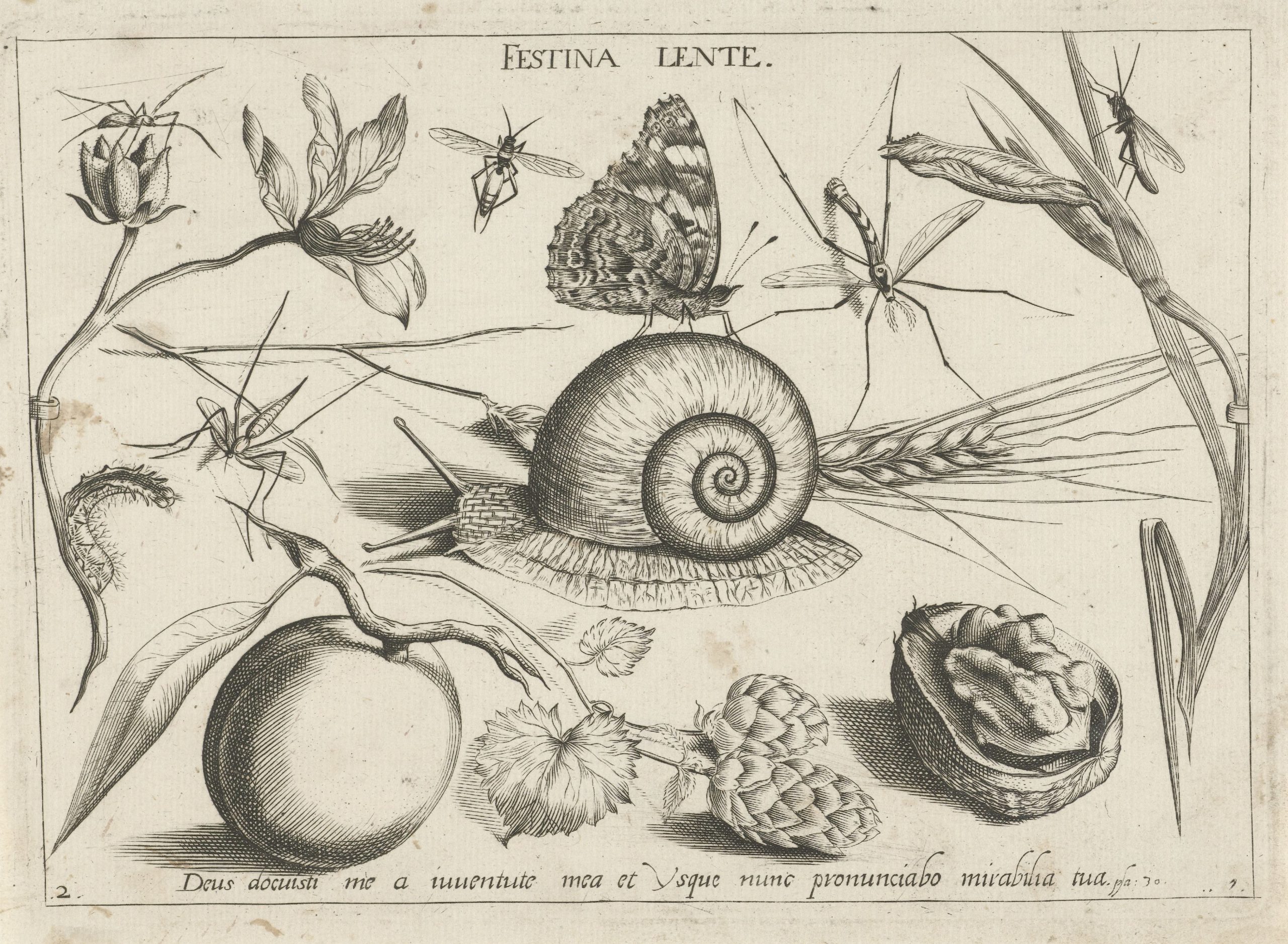 Print, Jacob Hoefnagel, 1693-1721, Rijksmuseum